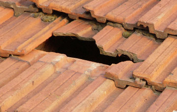 roof repair Langlees, Falkirk